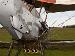 RE.8 A4397 TVAL reproduction walkaround (9)